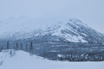 Hills with trees and blowing snow with mountains in the background on a cold winter day near Castner Cave in Alaska.