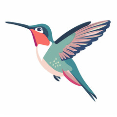 Obraz premium Hummingbird vector illustration on a white background
