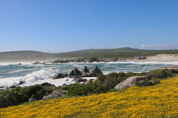 view of the coast in West Coast National Park, South Africa