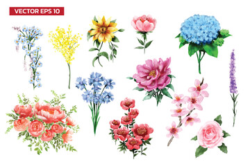 Set of wild flowers watercolor style isolated on white background