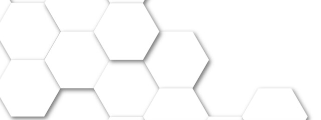 Abstract white hexagonal geometric background with shadow. Luxury White 3D futuristic honeycomb mosaic white background. Abstract white lines background. Vector Illustration.