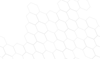 Fototapeta premium Abstract white and gray hexagon technology lines background. Abstract white and grey color hexagonal geometric background with copy space. Abstract white lines background.