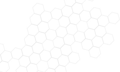 Abstract white and gray hexagon technology lines background. Abstract white and grey color hexagonal geometric background with copy space. Abstract white lines background.