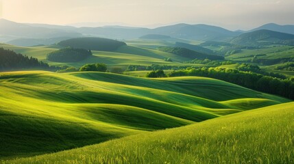 Fototapeta premium Rolling Hills of Green