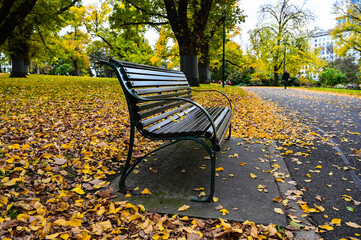 Fallen leaves on park chairs