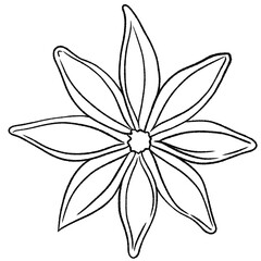 Obraz premium Star Anise