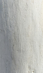 Eucalyptus tree bark texture, Bark of eucalyptus tree, seamless texture, a eucalyptus tree bark...