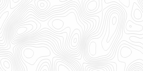 Abstract pattern with lines seamless topography map and counter map.  geometric grid outline sea map area space geometric line technology topo landscape grid map texture.