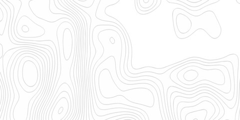 Abstract pattern with lines seamless topography map and counter map.  geometric grid outline sea map area space geometric line technology topo landscape grid map texture.