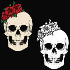 Set of skull with red roses drawing illustration. Tattoo skull design with cross hatching drawing technique