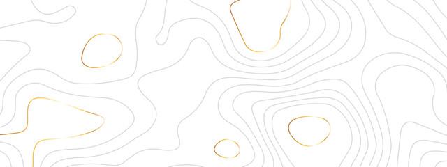 Golden wavy topographic luxury lines map. Abstract wavy and curved lines background. Abstract geometric topographic gold line contour map background. Vector illustration.