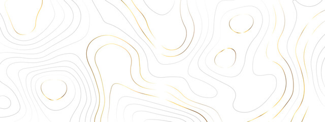 Golden wavy topographic luxury lines map. Abstract wavy and curved lines background. Abstract geometric topographic gold line contour map background. Vector illustration.