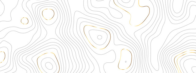 Wave topographic luxury golden lines contour map, topographic wavy map golden line background. Abstract geographic wave grid line map. Vector illustration.