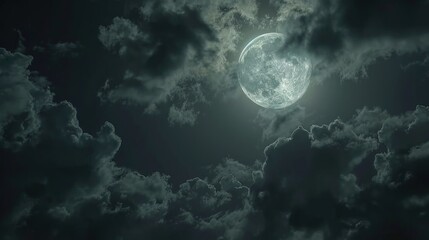 Obraz premium Full Moon in the Night Sky