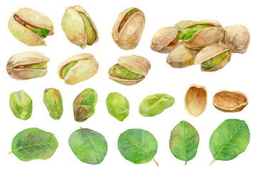 ピスタチオの水彩イラストセット　