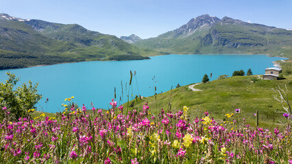 Amazing view of the Mont-Cenis Lake an alpine artificial lake. French Alps. Summer time. Relaxing and green contest. Turquoise water