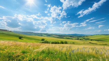 Fototapeta premium Sunny Day in a Verdant Meadow