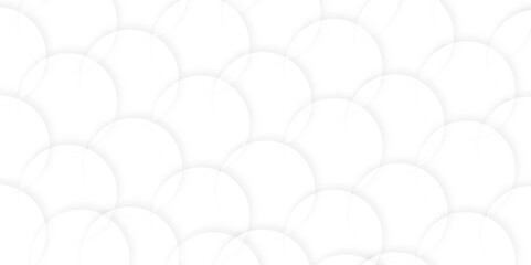 Abstract white background with circles. background white in cover design, book design, website background. digital technology wallpaper used in the corporate in design.