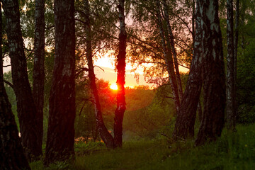 Obraz premium A bright red sun setting on the horizon