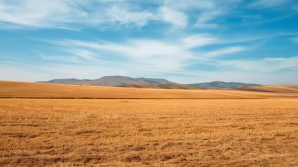 Fototapeta premium Water scarcity solutions, arid agriculture, productive harvest, Photo style