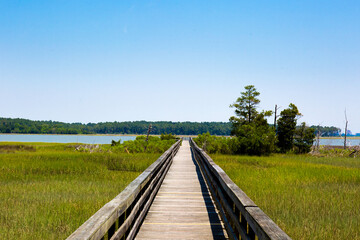 Long Wooden Boardwalk Leading Towards A Tranquil Lake And Distant Forest