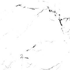 Marble Veins with beauty of texture