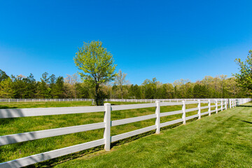 Wide Grassy Pasture With A White Fence Under A Bright Blue Sky On A Sunny Day