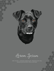 Vector Dog Breed Croatian sheepdog 3 wall decor ideas