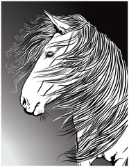 Horse vector poptret