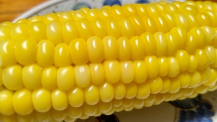 close up of corn
