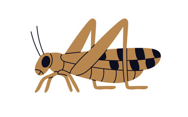 Grasshopper, summer insect, animal species. Summer bug with long legs, side view. Grass hopper profile. Flat graphic vector illustration isolated on white background