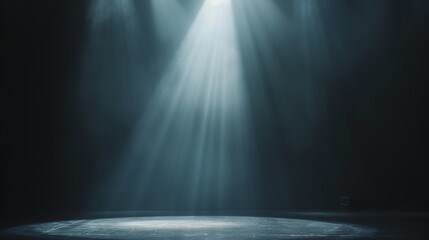 Dimly lit stage background, a bright spotlight, white text fading in