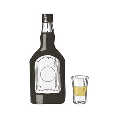 tequila and glass vintage hand drawn style