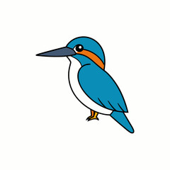 blue bird isolated on white background