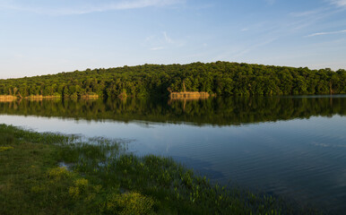 Small lake at the edge of the forest. Lakeside plants. Spring time.  Clear sky and beautiful atmosphere