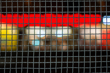 Neon za siatką © Grzegorz