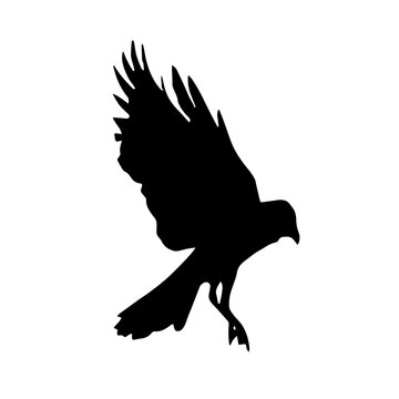 recommend clip art: Bird in flight art. Silhouette of a raven, wings spread.