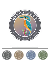 Vector illustration of Kingfisher business logo concept.