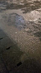 雨の降る水溜まり