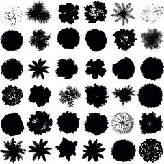 Tree top view silhouette vector illustration. Ideal for landscape design, urban planning, and garden projects. Perfect for creating nature inspired graphics and foliage