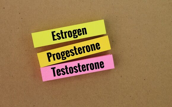 colored paper with the words estrogen, progesterone and testosterone. instrumental in sexuality and fertility. The three major sex hormones