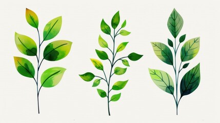 Vibrant green leaves illustration, perfect for naturethemed projects. Watercolor clipart on white background for design use.