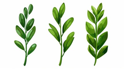 Beautiful handdrawn botanical illustrations perfect for crafting and design projects. Capture natures essence