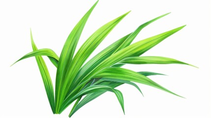 Fototapeta premium Experience the beauty of nature with this detailed handdrawn grass illustration, perfect for your creative projects.