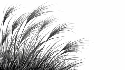 Experience the beauty of nature with this detailed handdrawn grass illustration, perfect for your creative projects.