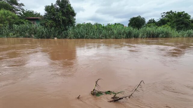 Forest water flooding or flash flooding with muddy brown water is fully flowing in the river. Natural disaster scene, 4k footage.