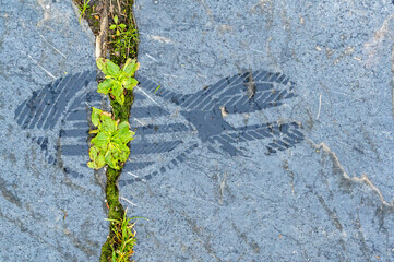 A wet footprint after a trainer shoe on dark stone