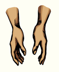 Young human hands. Vector drawing