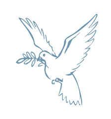 Vector drawing. Cute flying dove