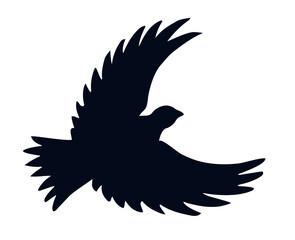 Vector drawing. Cute flying dove